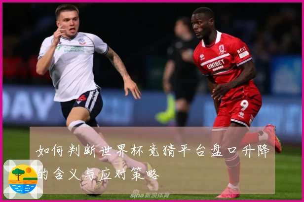 如何判断世界杯竞猜平台盘口升降的含义与应对策略