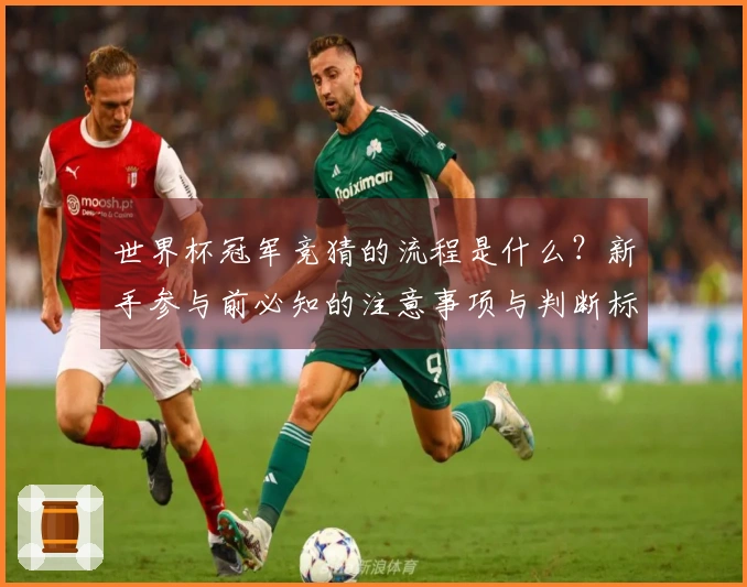 世界杯冠军竞猜的流程是什么？新手参与前必知的注意事项与判断标准
