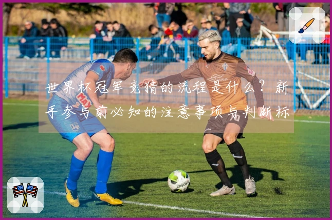 世界杯冠军竞猜的流程是什么？新手参与前必知的注意事项与判断标准