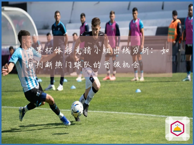 世界杯体彩竞猜小组出线分析：如何判断热门球队的晋级机会