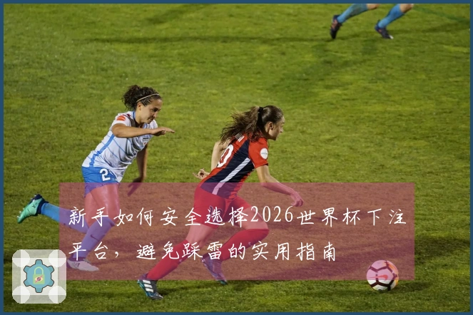 新手如何安全选择2026世界杯下注平台，避免踩雷的实用指南