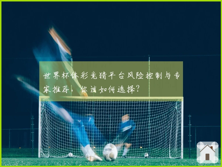 世界杯体彩竞猜平台风险控制与专家推荐，你该如何选择？