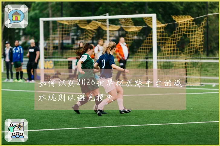 如何识别2026世界杯买球平台的返水规则以避免损失