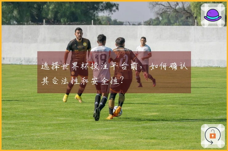 选择世界杯投注平台前，如何确认其合法性和安全性？