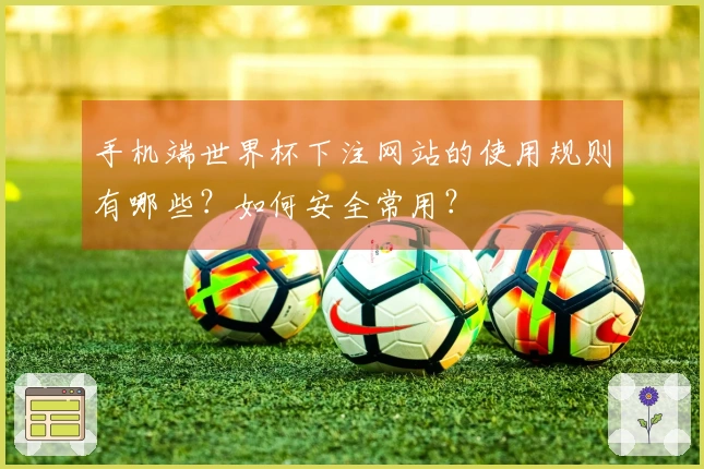 手机端世界杯下注网站的使用规则有哪些？如何安全常用？