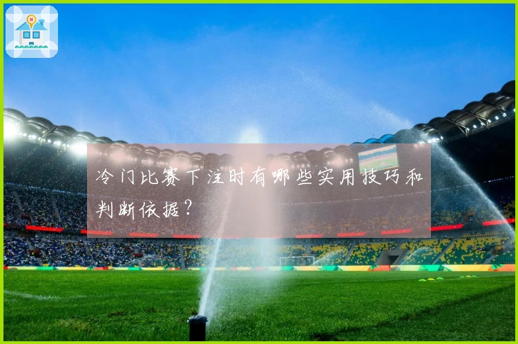 冷门比赛下注时有哪些实用技巧和判断依据？
