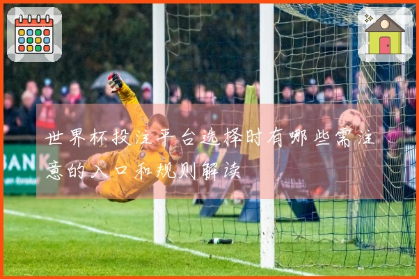 世界杯投注平台选择时有哪些需注意的入口和规则解读