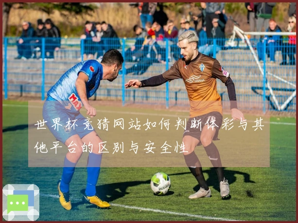 世界杯竞猜网站如何判断体彩与其他平台的区别与安全性