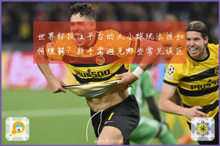 世界杯投注平台的大小球玩法该如何理解？新手需避免哪些常见误区？