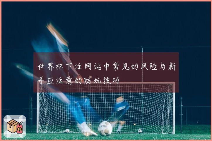 世界杯下注网站中常见的风险与新手应注意的防坑技巧
