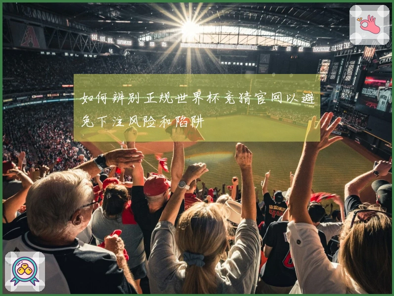 如何辨别正规世界杯竞猜官网以避免下注风险和陷阱