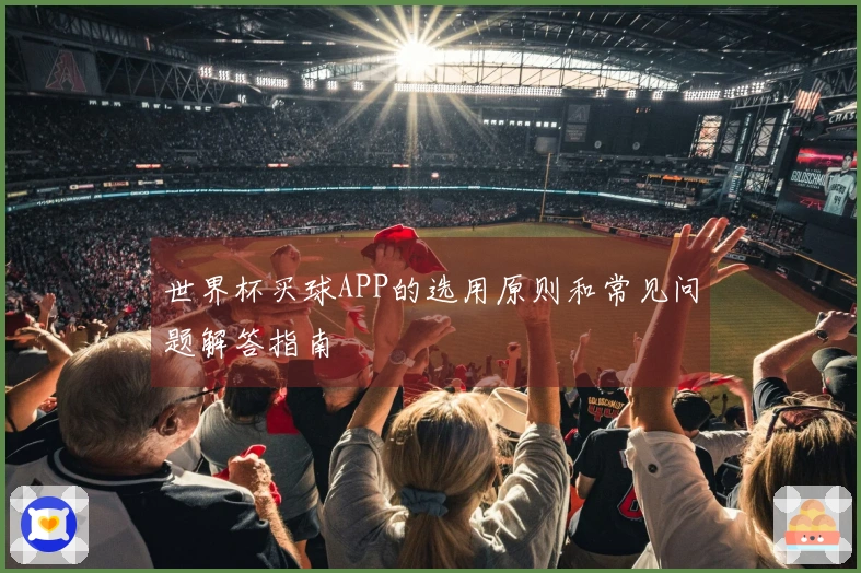 世界杯买球APP的选用原则和常见问题解答指南