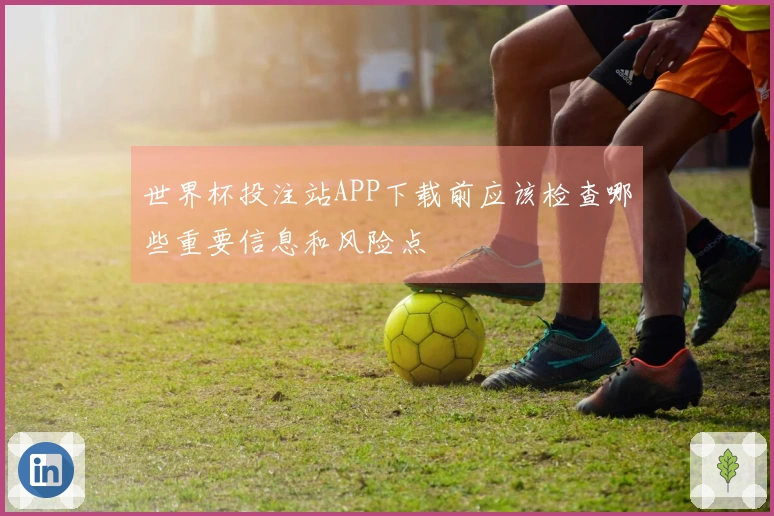 世界杯投注站APP下载前应该检查哪些重要信息和风险点
