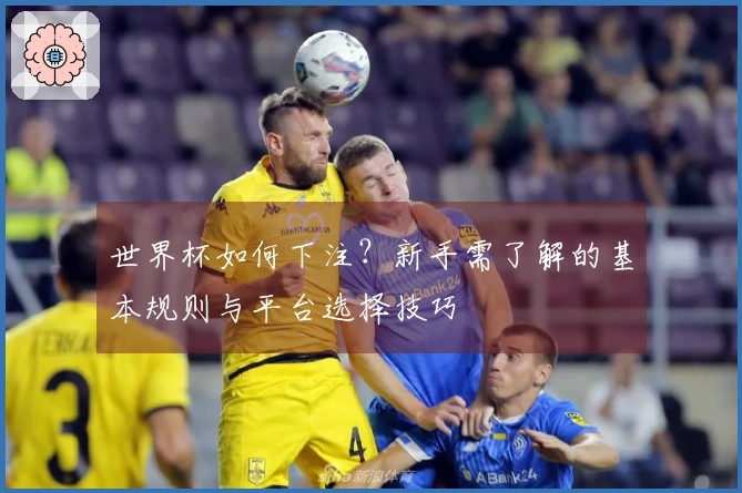 世界杯如何下注？新手需了解的基本规则与平台选择技巧
