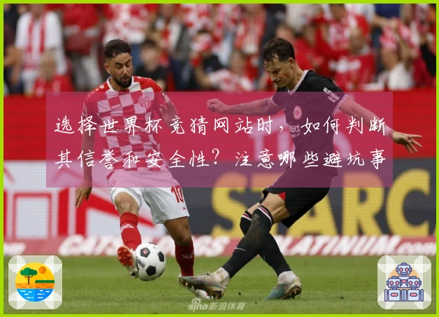 选择世界杯竞猜网站时，如何判断其信誉和安全性？注意哪些避坑事项？