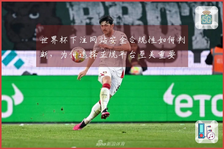 世界杯下注网站安全合规性如何判断，为何选择正规平台至关重要