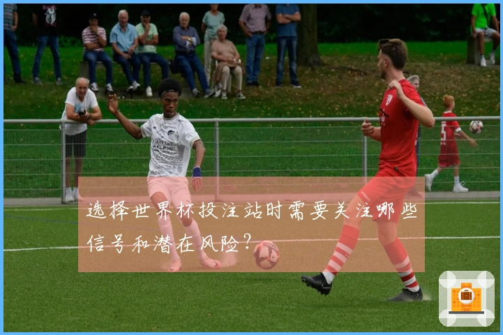 选择世界杯投注站时需要关注哪些信号和潜在风险？