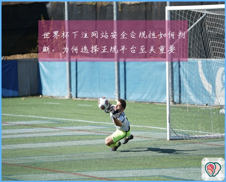 世界杯下注网站安全合规性如何判断，为何选择正规平台至关重要
