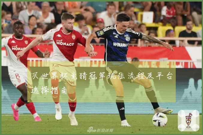 买世界杯竞猜冠军玩法流程及平台选择指南