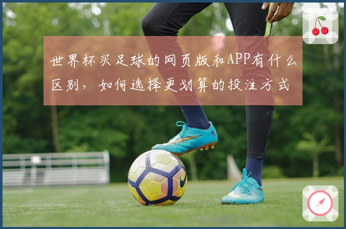 世界杯买足球的网页版和APP有什么区别，如何选择更划算的投注方式