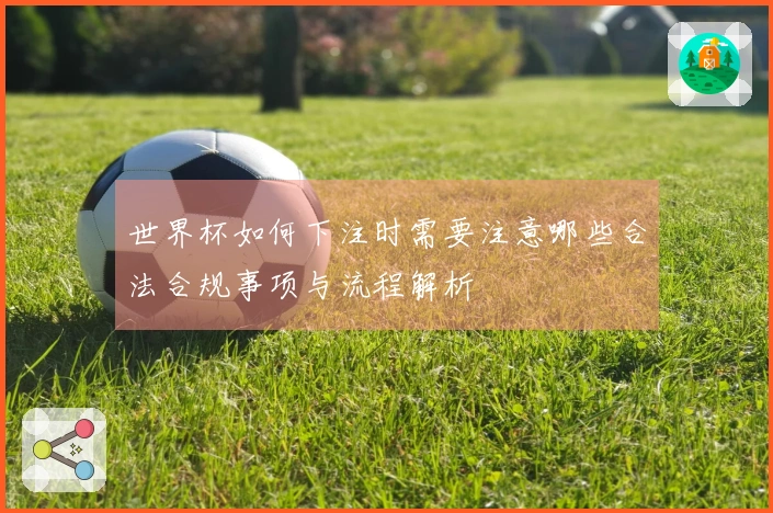 世界杯如何下注时需要注意哪些合法合规事项与流程解析