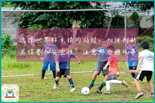 选择世界杯竞猜网站时，如何判断其信誉和安全性？注意哪些避坑事项？