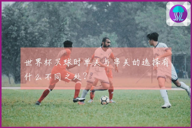 世界杯买球时单关与串关的选择有什么不同之处？