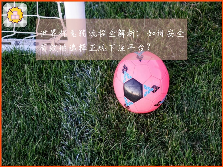 世界杯竞猜流程全解析：如何安全有效地选择正规下注平台？