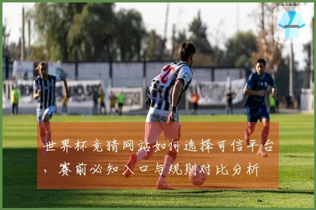 世界杯竞猜网站如何选择可信平台，赛前必知入口与规则对比分析