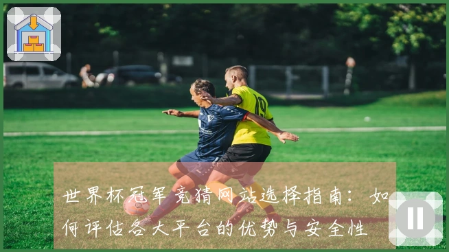 世界杯冠军竞猜网站选择指南：如何评估各大平台的优势与安全性