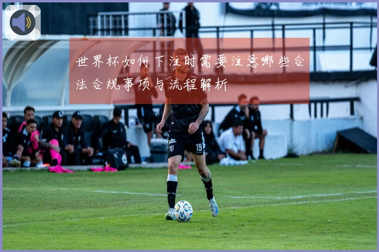 世界杯如何下注时需要注意哪些合法合规事项与流程解析