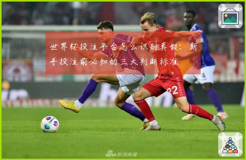 世界杯投注平台怎么识别真假：新手投注前必知的三大判断标准