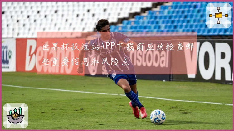 世界杯投注站APP下载前应该检查哪些重要信息和风险点