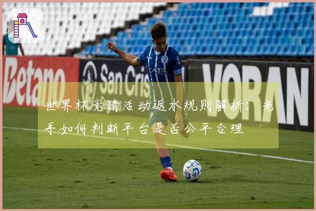 世界杯竞猜活动返水规则解析：老手如何判断平台是否公平合理