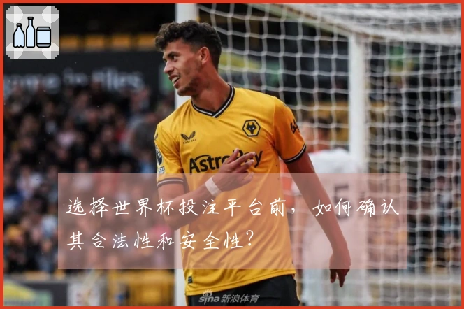 选择世界杯投注平台前，如何确认其合法性和安全性？